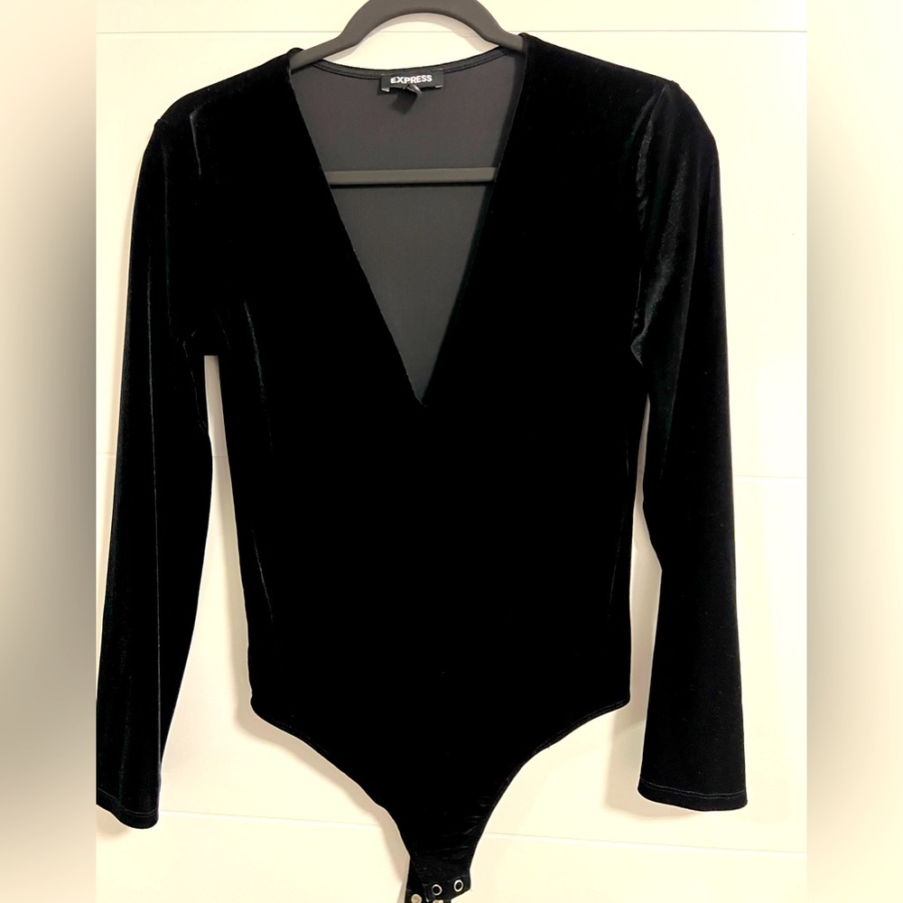 Express Velvet Deep V Plunge Neck Long Sleeve Bodysuit